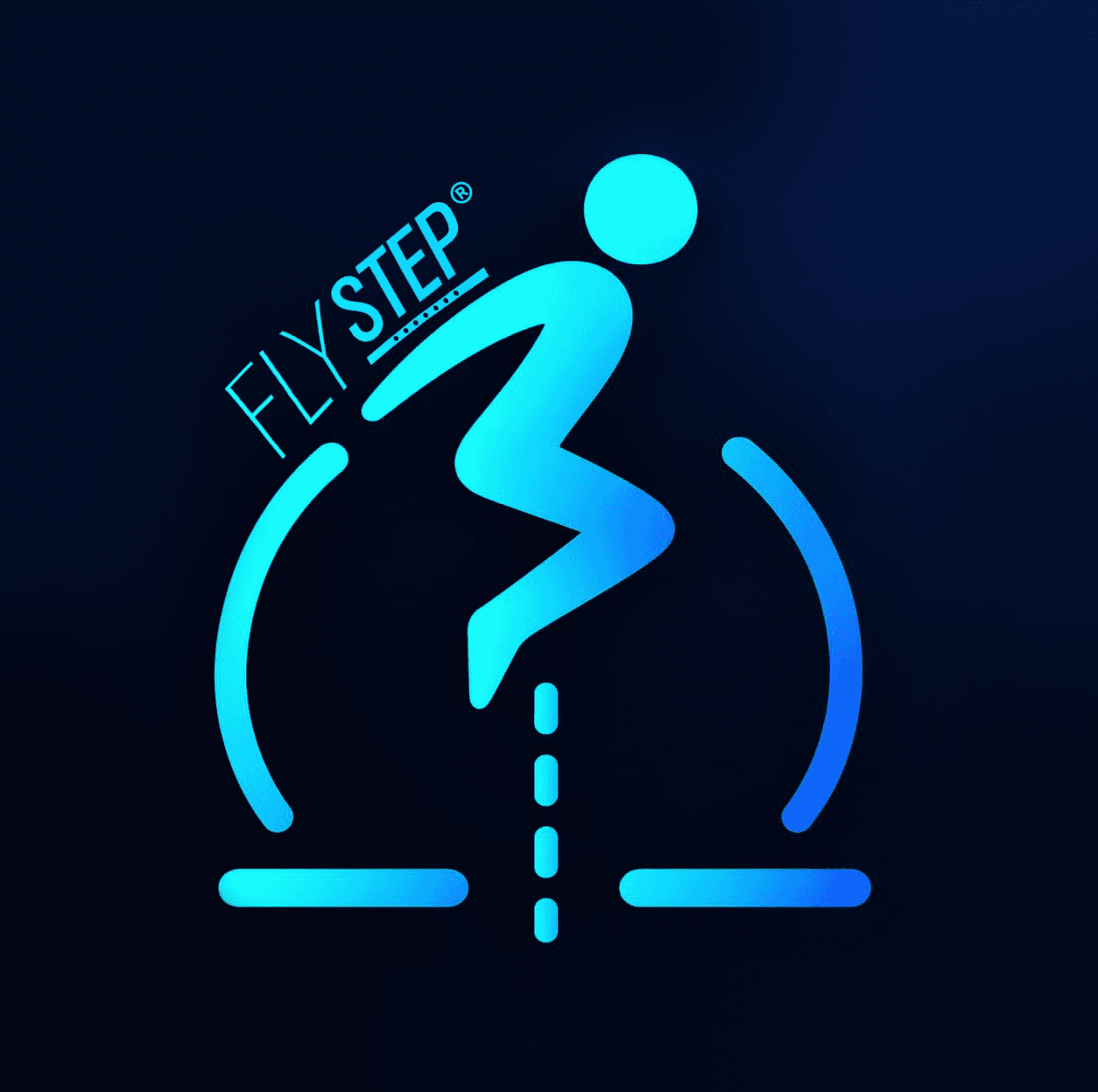 Flystep project preview